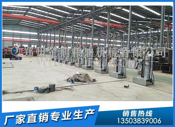 企鵝榨油機:新疆10噸核桃油壓榨生產(chǎn)線安裝進行中(圖2) 液壓榨油機