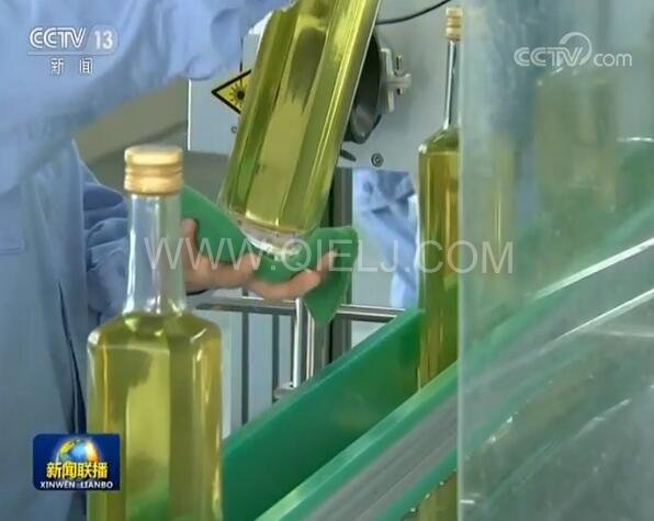 新聞聯播決戰決勝脫貧攻堅之油茶樹串起的產業鏈(圖3) 新聞聯播決戰決勝脫貧攻堅之油茶樹串起的產業鏈(圖3)