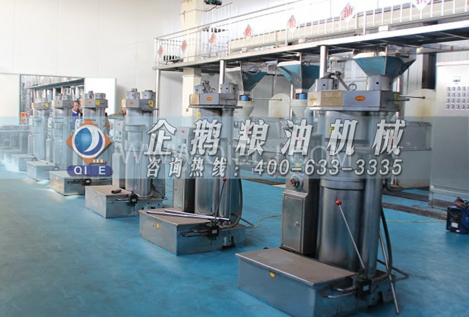 芝麻油提取加工,企鵝糧油機械生產色香味俱佳的油脂(圖3) 芝麻油提取加工,企鵝糧油機械生產色香味俱佳的油脂(圖3)